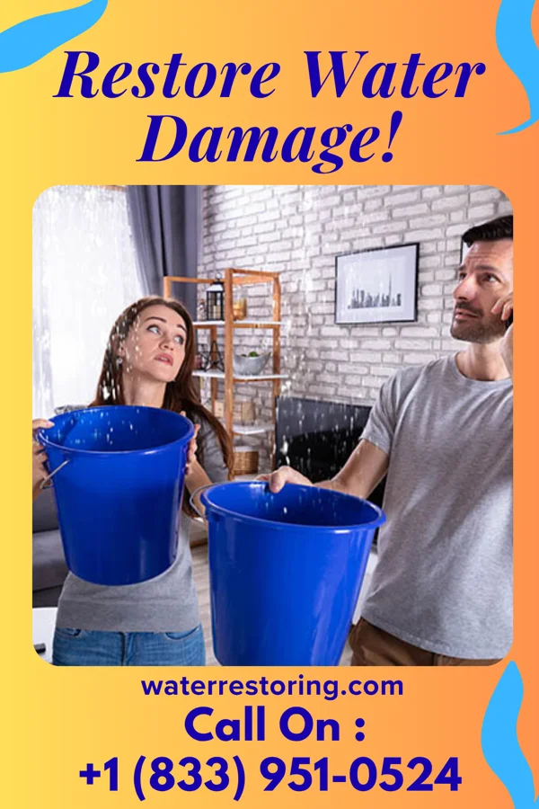 water restoration Diamond Flood LLC Paradis